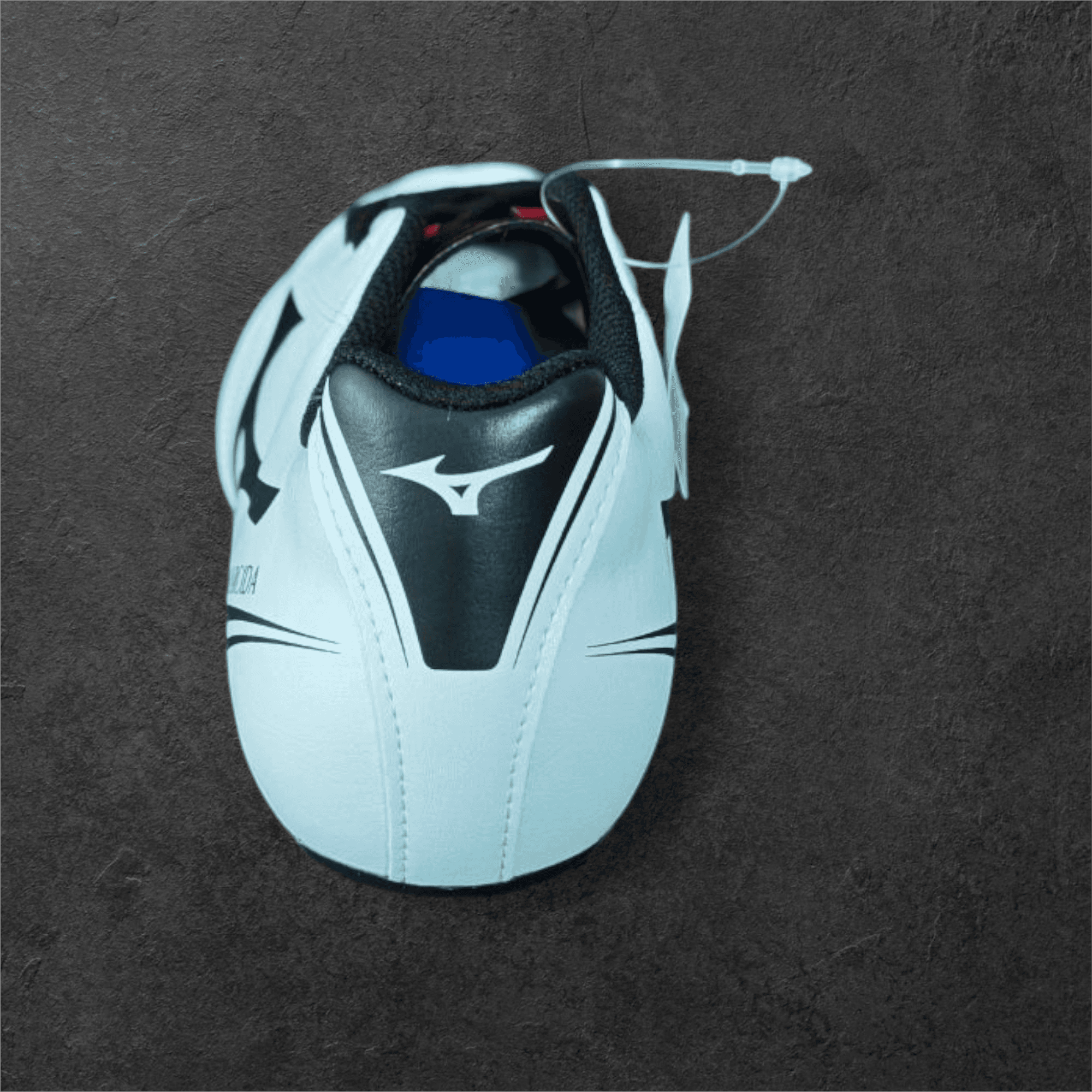 Mizuno Monarcida