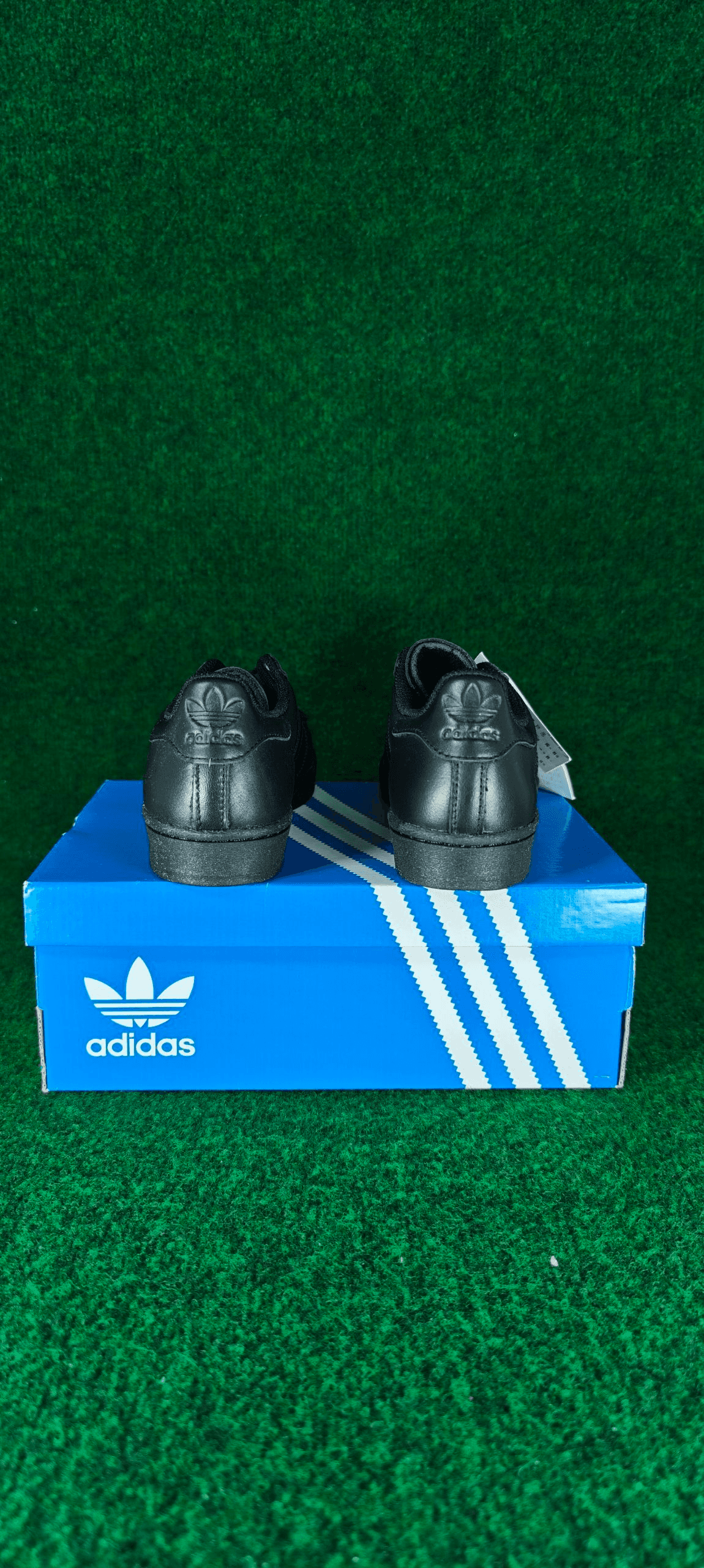 Adidas Superstar W – Noir / Or métallisé / Coque imprimée